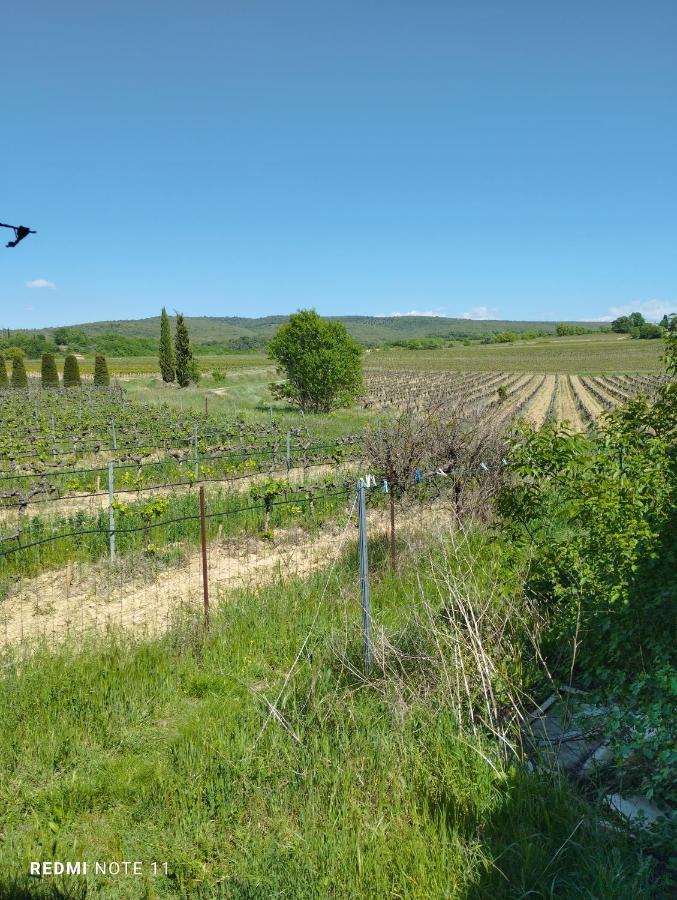 Chambre D Hotes En Provence, Au Pied Du Luberon, Les Coquelicots La Tour-dʼAigues Εξωτερικό φωτογραφία