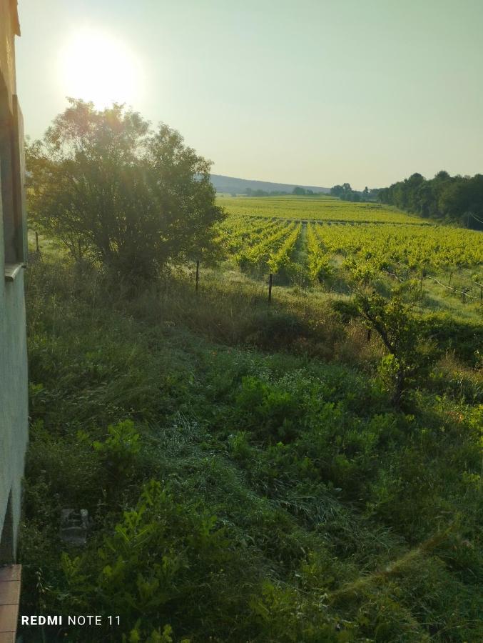 Chambre D Hotes En Provence, Au Pied Du Luberon, Les Coquelicots La Tour-dʼAigues Εξωτερικό φωτογραφία